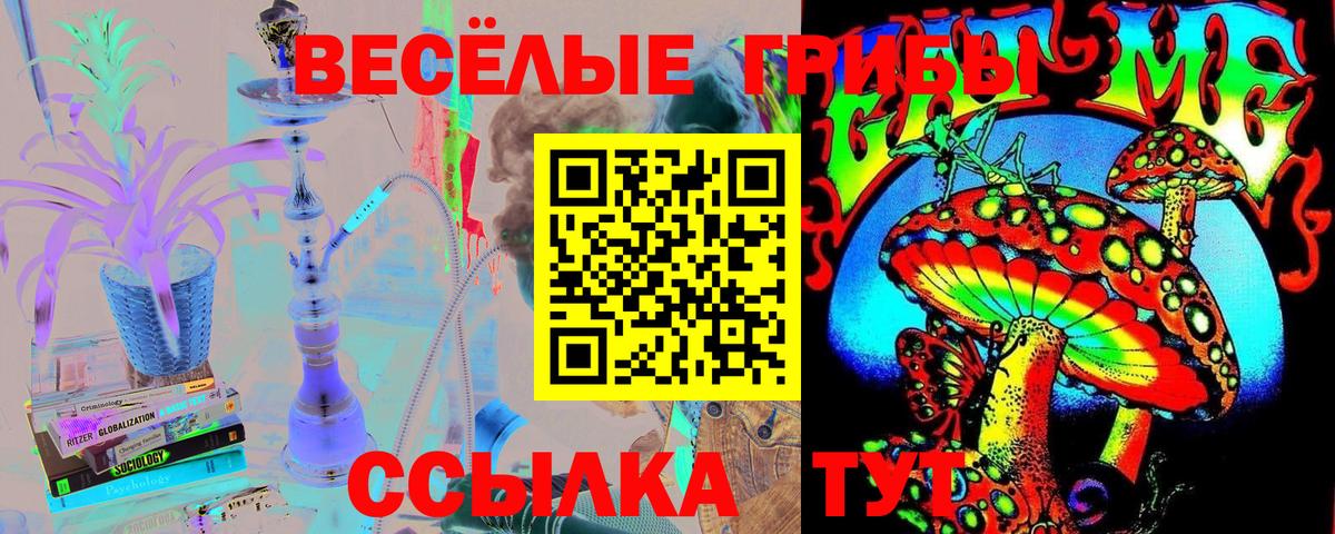 Старая Купавна  Псилоцибиновые грибы Magic Shrooms  Вход с VPN 