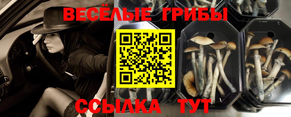 Cocaine  Гашиш  Вход с VPN  Экстази  Сколько стоит  Марихуана  Старая Купавна  МЕФ кристаллы 